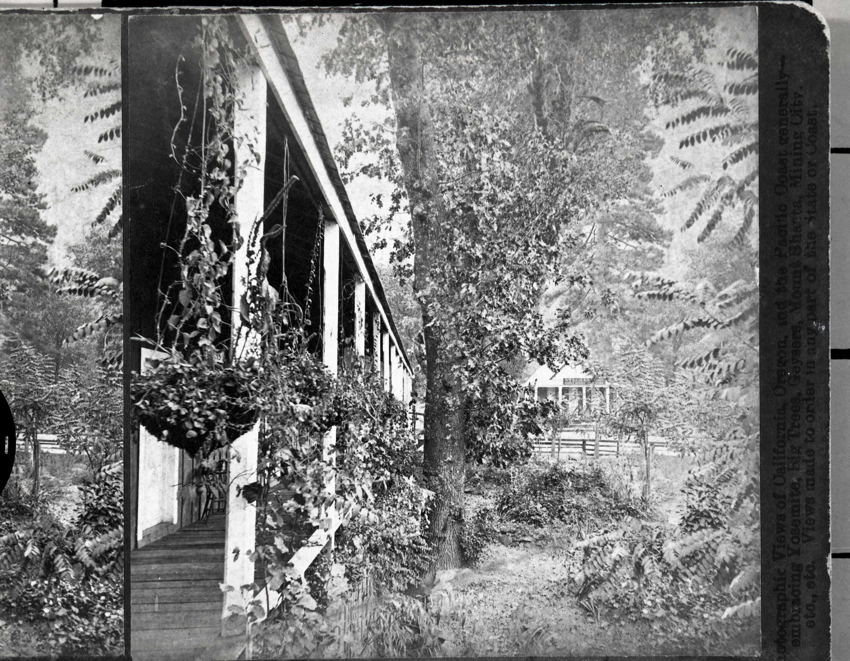 Detail of RL-16,490. Caption: "View from the Cosmopolitan. Yosemite Valley, Mariposa, Cal. 3025." Sign on distant building: "Stegman & Son." Copy Neg: July 1985 by Michael Dixon