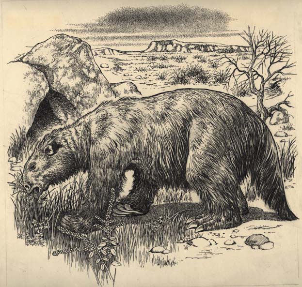 a Giant Ground sloth (Megalonyx jeffersonii)