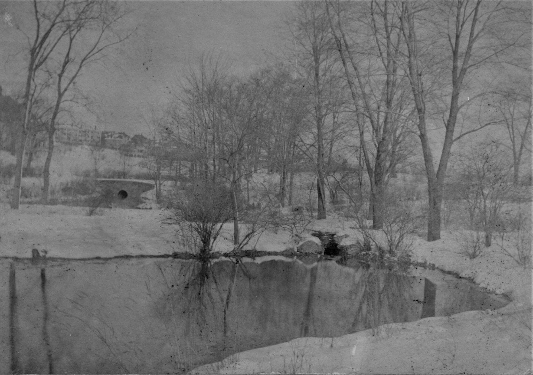 Black and white of small body of water with bare trees around, bridge and buildings in distance. 