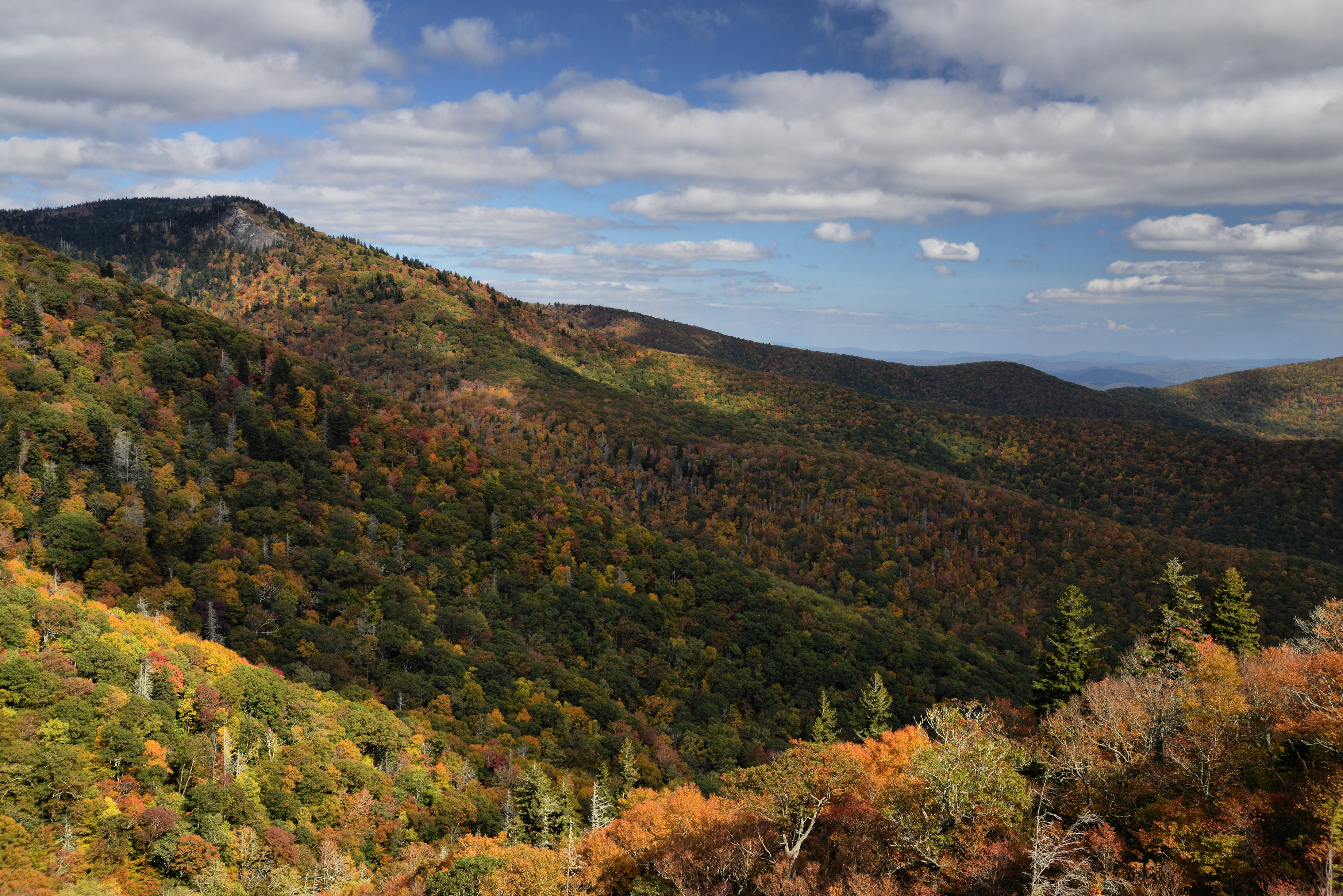Blue Ridge Parkway in autumn