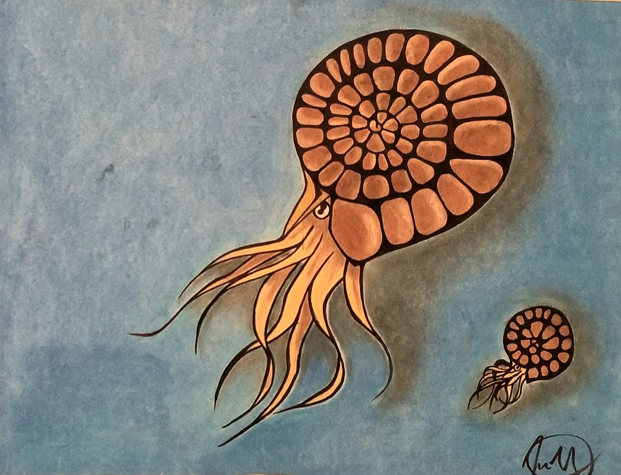 colorful drawing of prehistoric sea animals