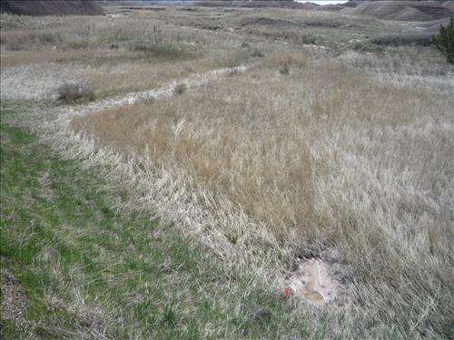 BADL Facility Management Collection: Loop Road (RT10) - FY10 Culverts and Drainage Ditches
