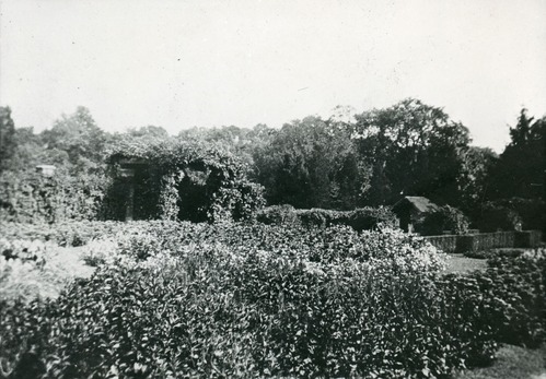 Blooming garden with a plant covered arbor.