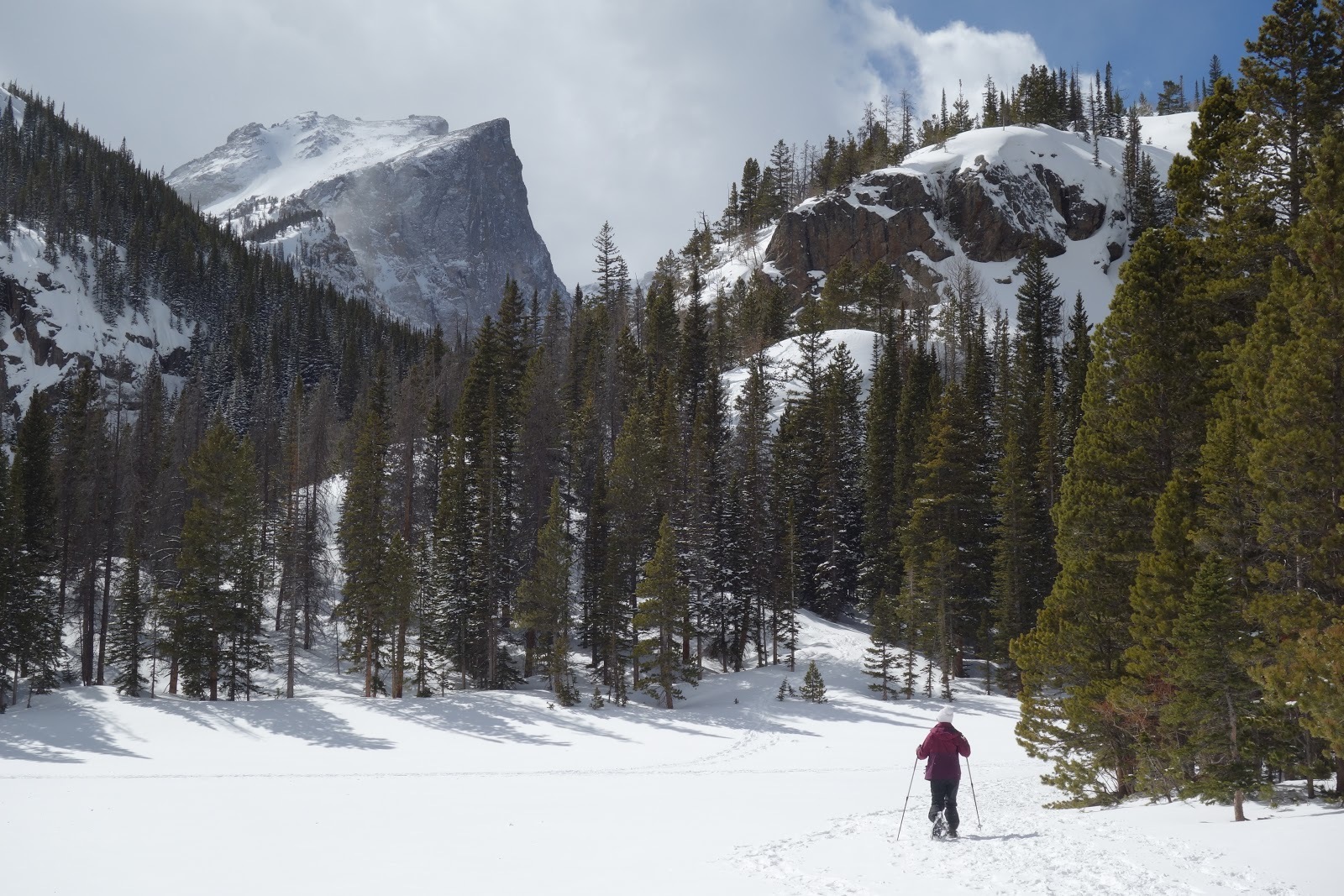 man with skis and poles on snow