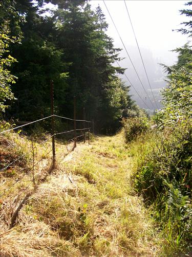 Orick Hill Fence Repair 2010