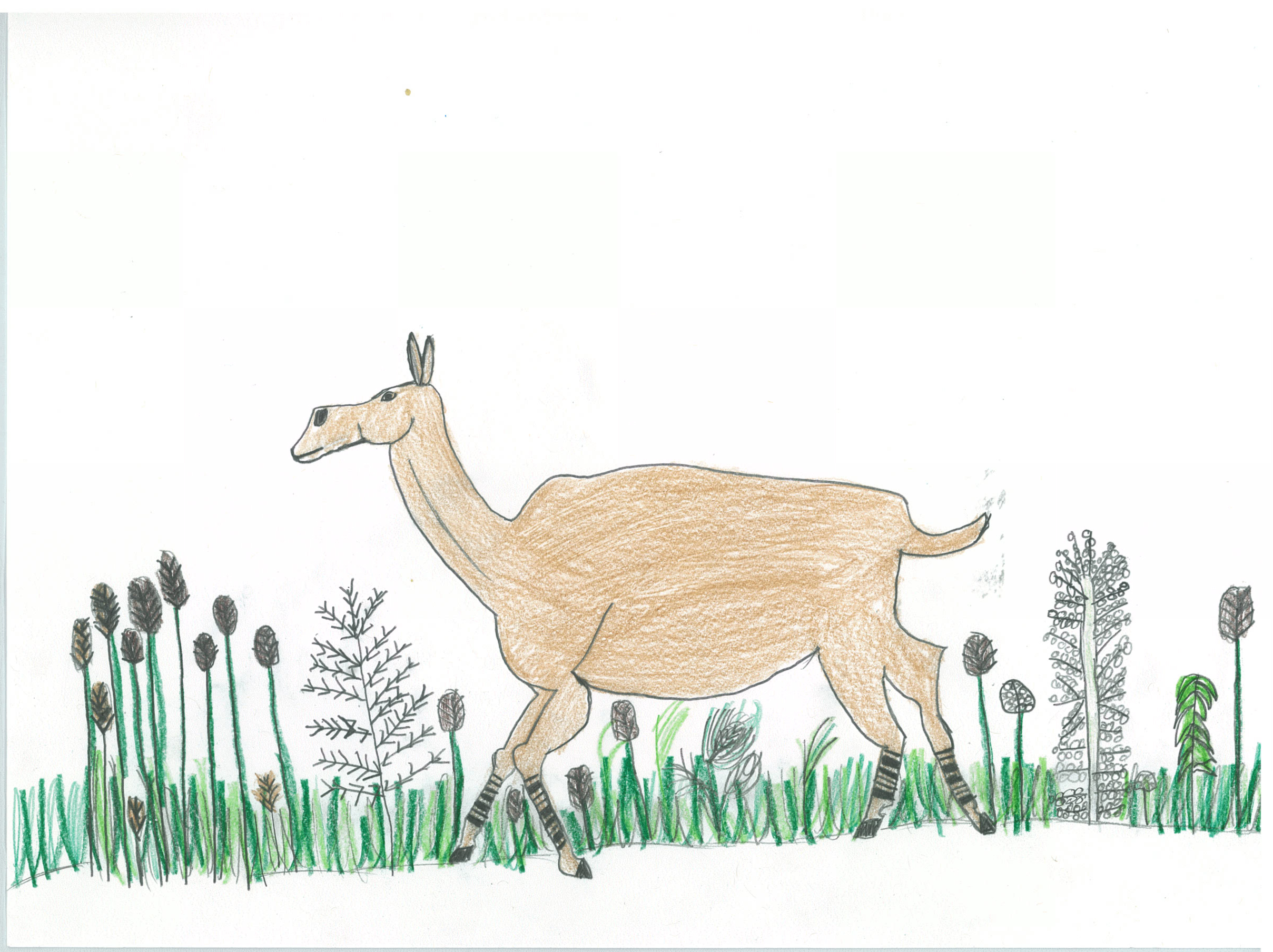 Color pencil drawing of a large prehistoric mammal running across a field. 