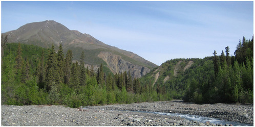 A creek passes through a level, rocky floodplain, framed by tree-covered hills and even higher mountains beyond.