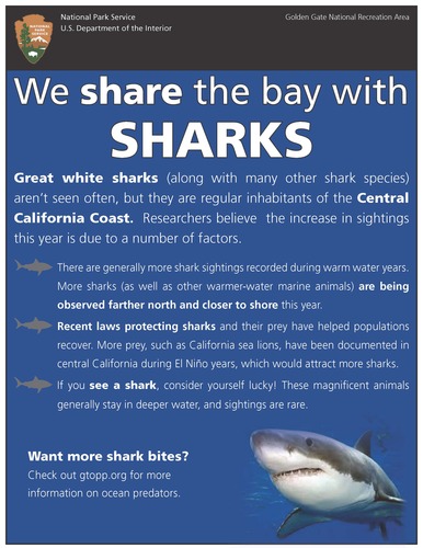 Poster informing public that sharks do come into the Bay of San Francisco
