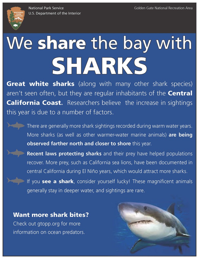 Poster informing public that sharks do come into the Bay of San Francisco