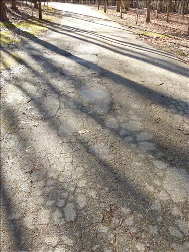 Resurface Turkey Run and Oak Ridge Campground Loop Roads in February 2012
