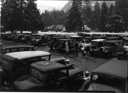 Parking area, Yosemite Lodge.
