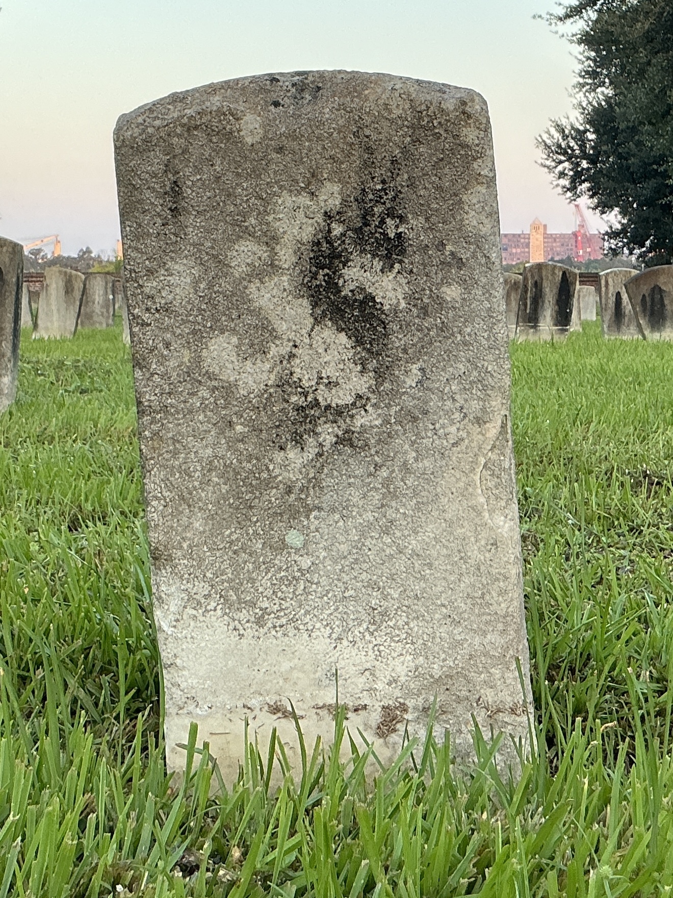 Back of historic upright marble headstone with recessed shield face.