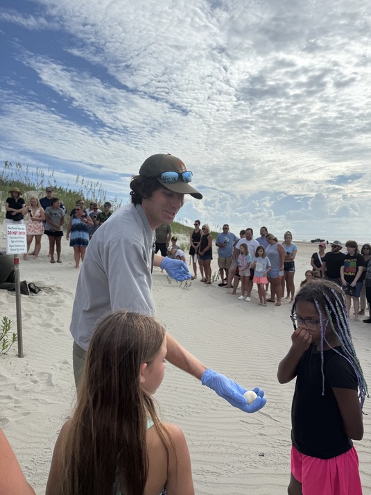 Scene from a public sea turtle nest excavation event in August 2025.