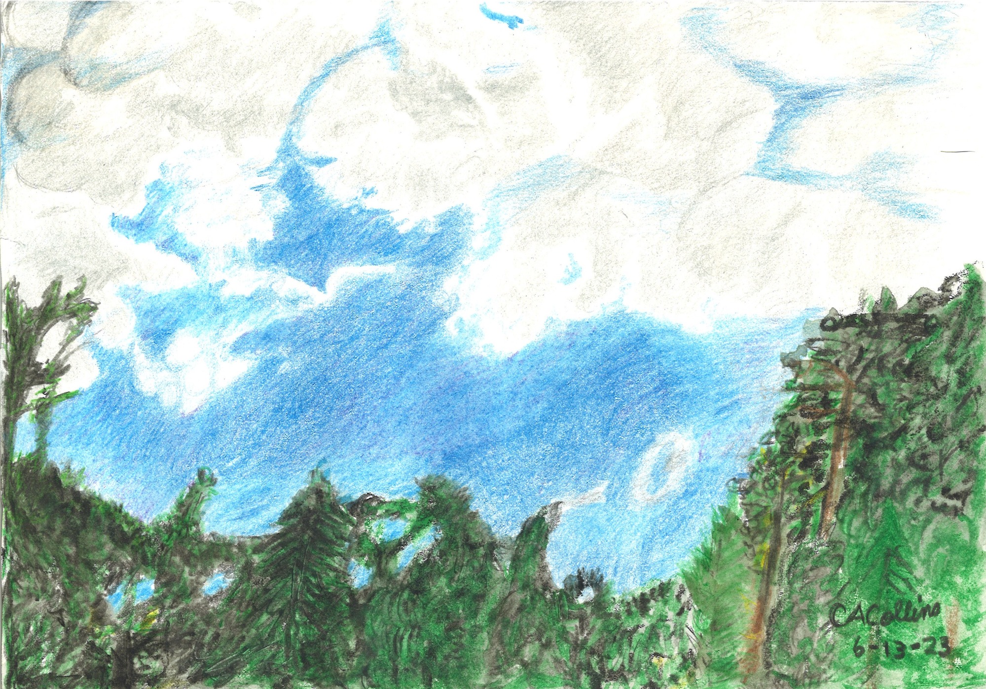 Colored pencil drawing of a canopy of a forest with blue skies in the background. Covering the top half of the picture are fluff white clouds with grey accents.