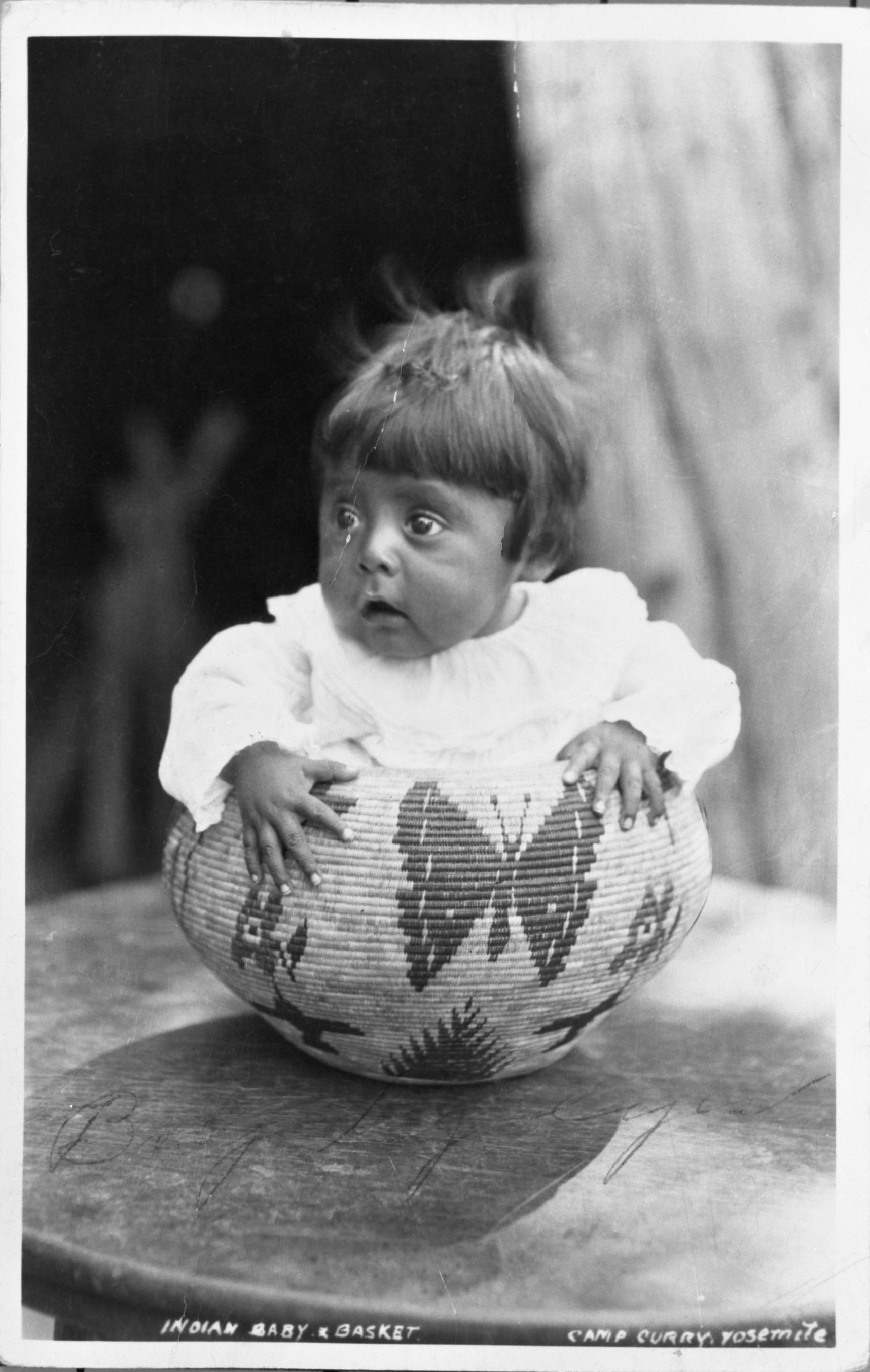 Norman James in a basket by Lucy Telles. Copy of a postcard in the YNP Collection.