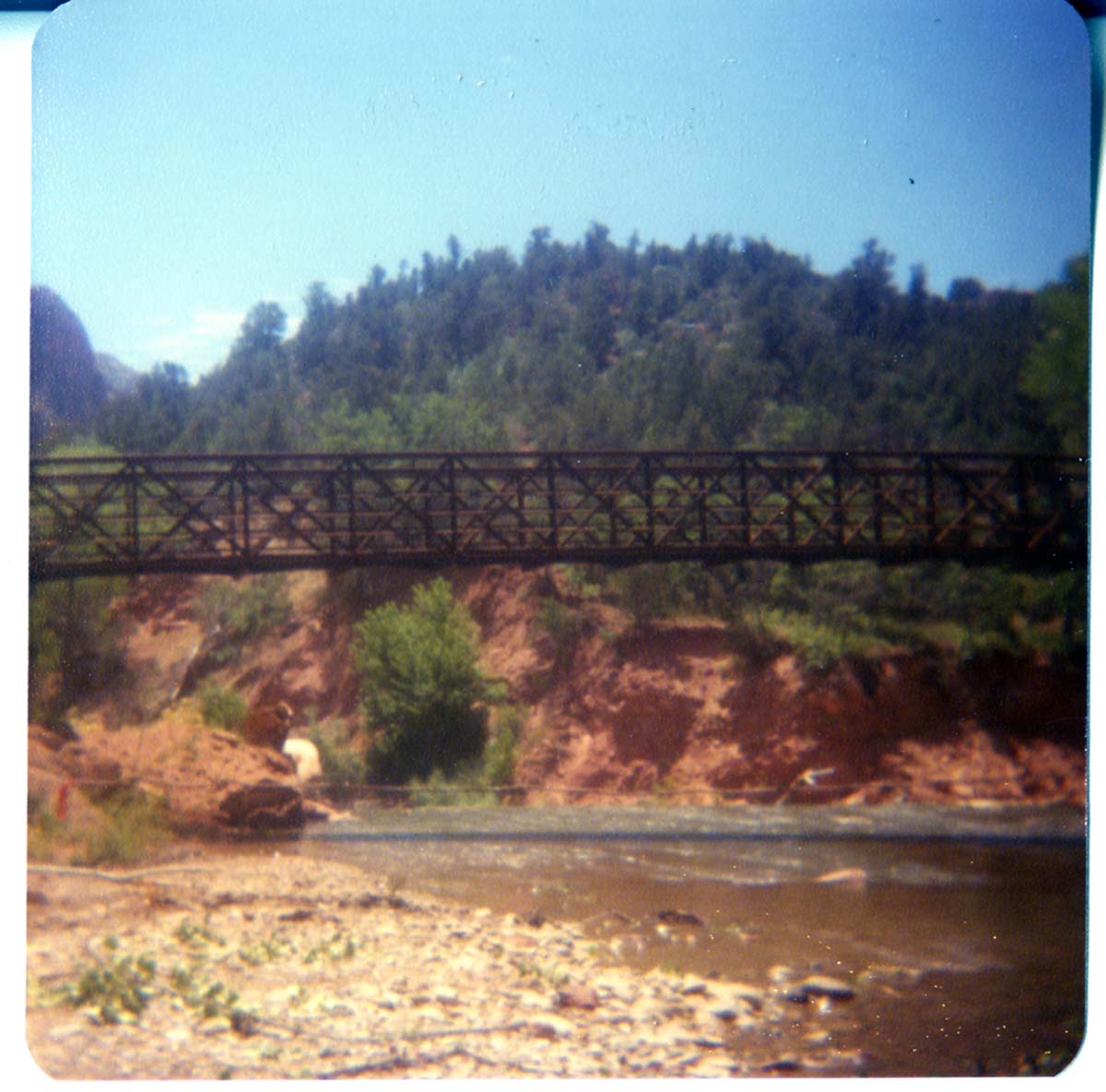The completed Birch Creek footbridge following its arrival and replacement.