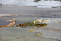 Terraces have water in them and thermophiles which are orange, green and yellow.
