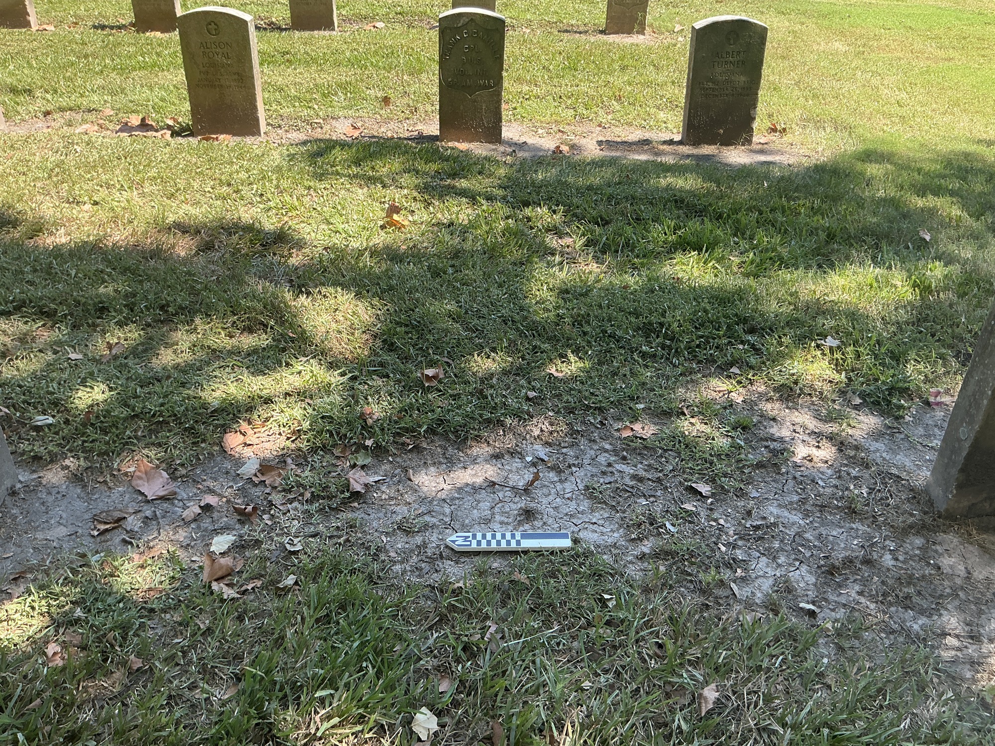 Extra image of empty Plot