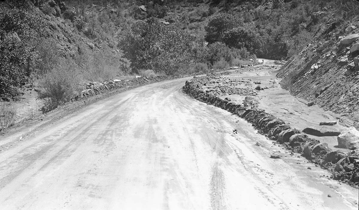 Flood damage of debris washed on to park road.