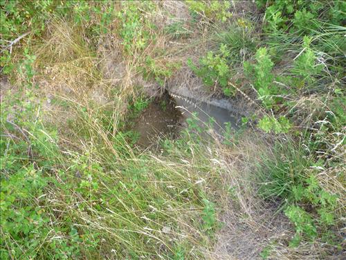 BADL Facility Management Collection: PROJECT - Loop Road - MM00 - MM04 -Remove Sediment from Drainage Ditches and Culverts