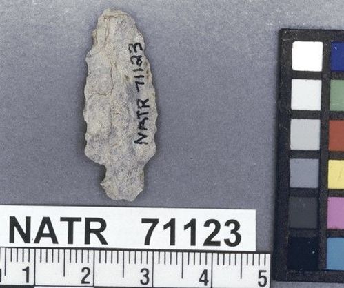 NATR   71123 -- Collins projectile point
