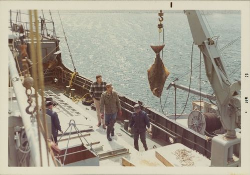 Sample photographs of Alaska Packers Association vessels designed by L. Christian Norgaard