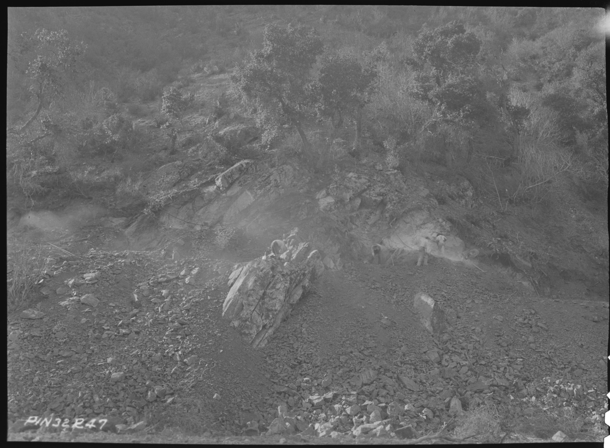 Bear Gulch Entrance Road Construction