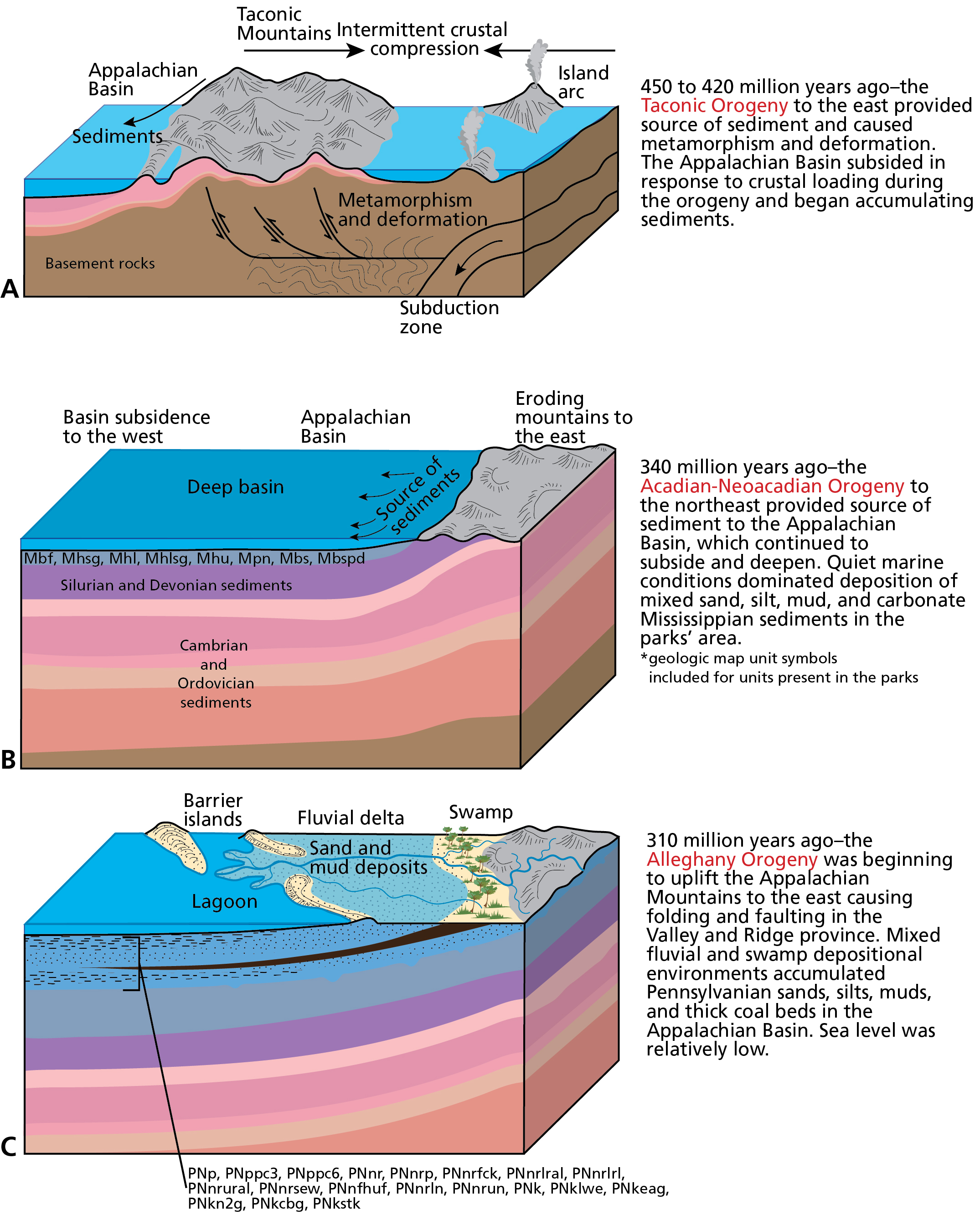 Schematic graphics illustrating the evolution of the landscape and geologic foundation of Bluestone NSR, Gauley River NRA, and New River Gorge NR from about 450 to 310 million years ago. Graphic includes 3 block diagrams. 
