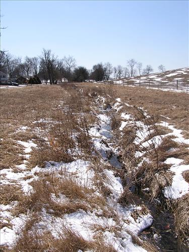 Establish Forested Riparian Buffers
