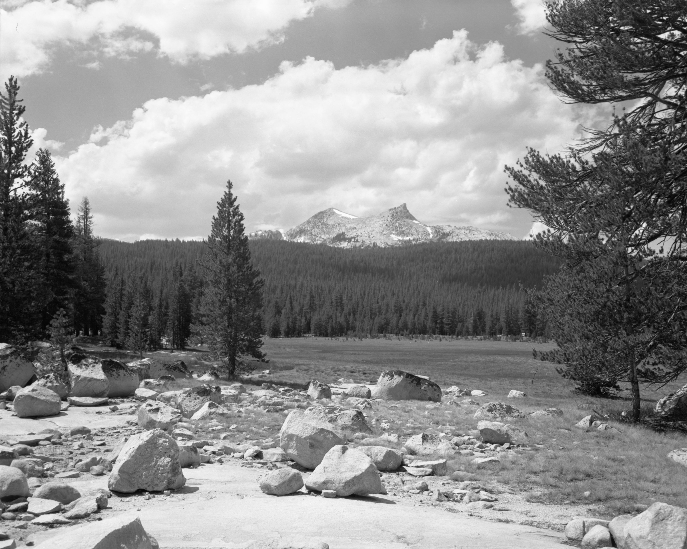 Saddle of Unicorn peak from Tuolumne Meadows
