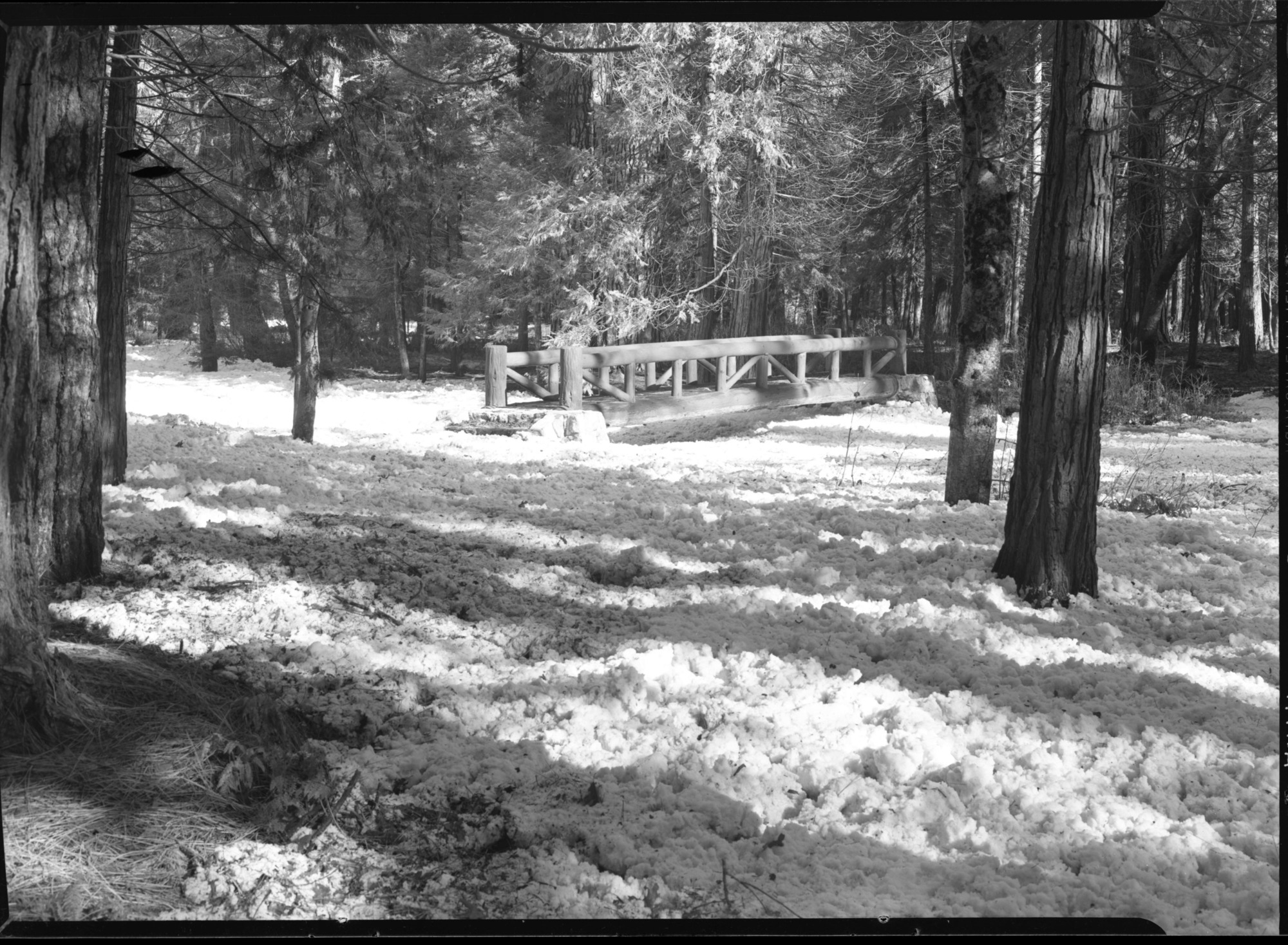Heavy accummulation of snow and ice in Yosemite Creek following hard freeze after heavy rains.