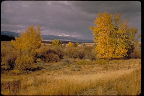 Big Hole National Battlefield, Montana
