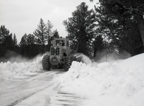 (Scene of Snow Vehicle)