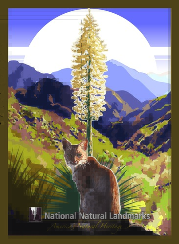 Artwork of bobcat with blooming yucca and mountains in background. 
