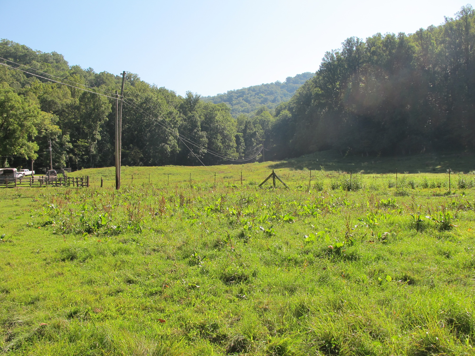 GRSM Accuracy Assessment. Plot Code: GRSM_AA_0837_3