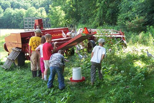 Junior Ranger, Goats and Gobblers, Miscellaneous
