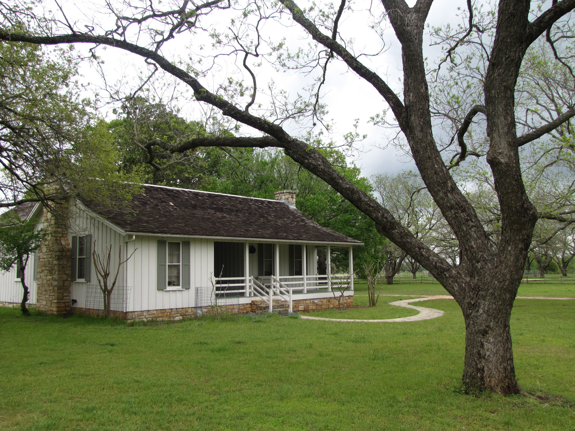 A white, one story house with a porch sits beyond a large pecan tree.