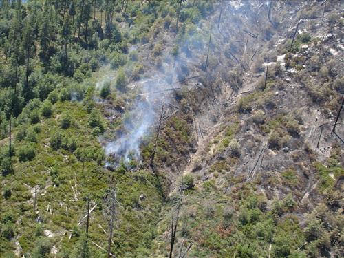 Images of the Comb Complex wildland fire use project taken from park helicopter, Sequoia and Kings Canyon National Parks, summer 2005
