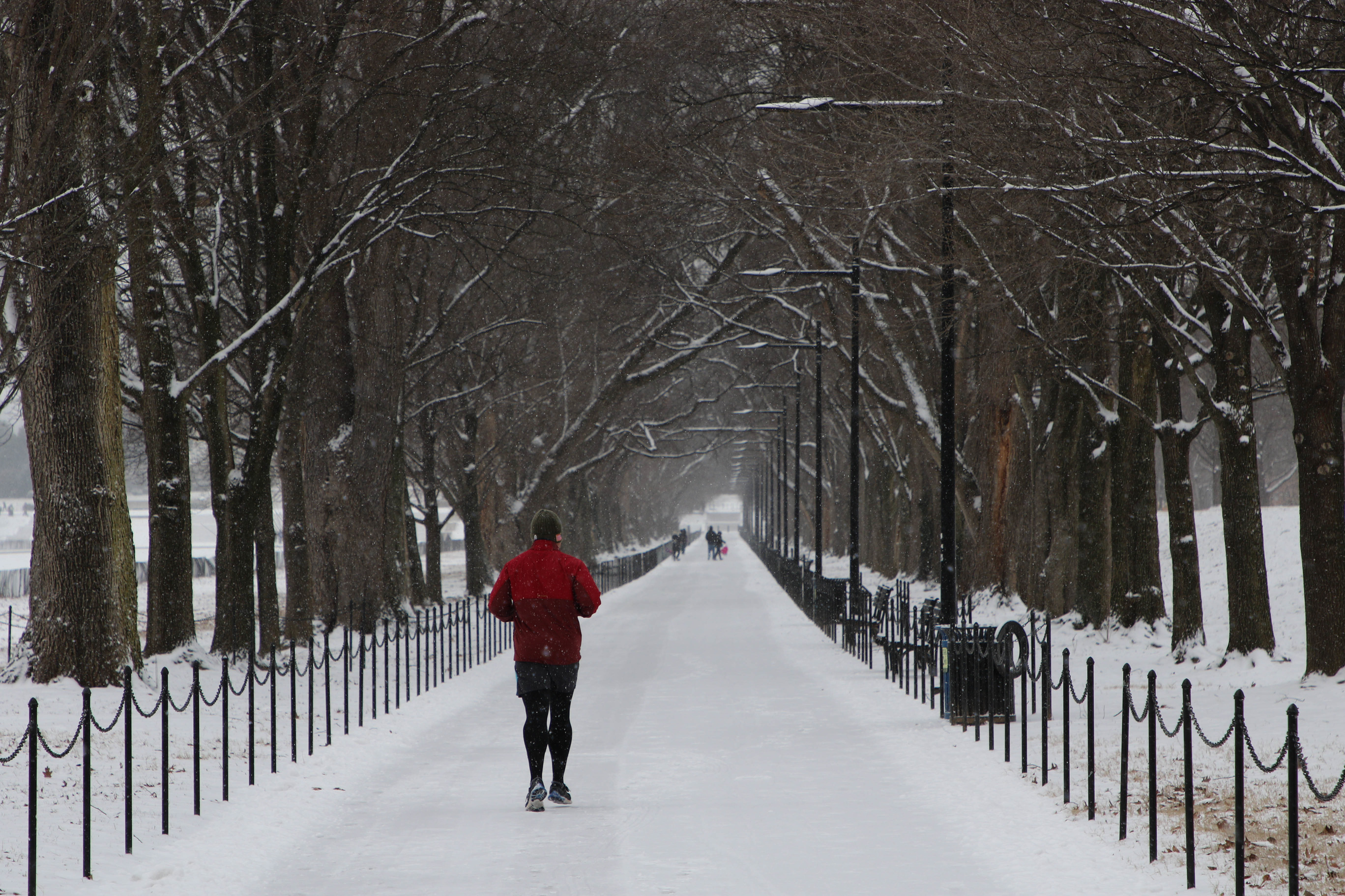 Runner on snow-covered trail lines with trees