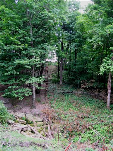 Boundary Fence Pictures 2015