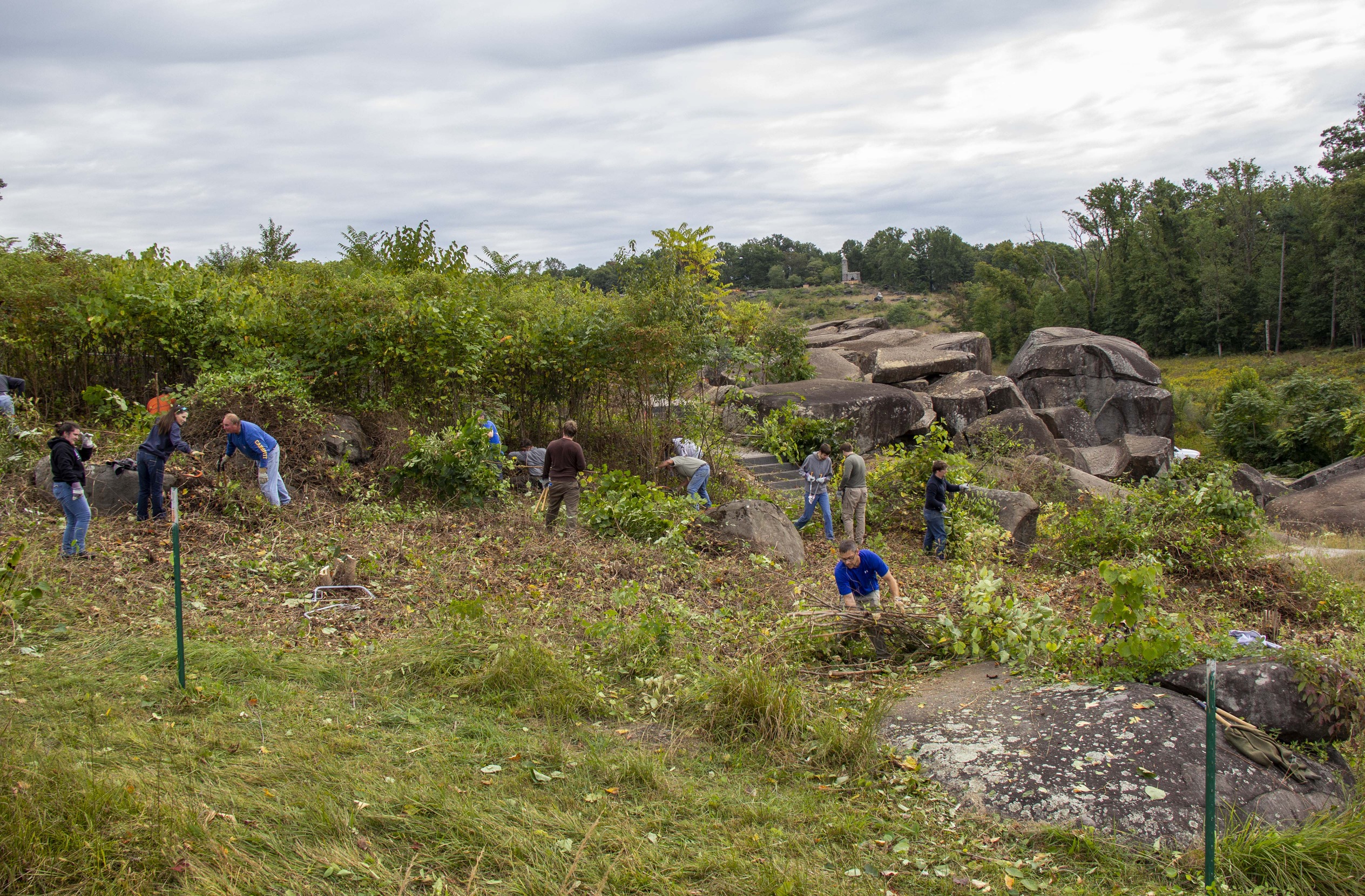 Fourteen volunteers working in the boulders of Devil's Den to remove trees and brush.