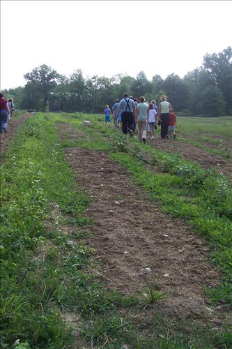 CVEEC Junior Ranger Program, Down & Dirty Farming, Walking in Fields