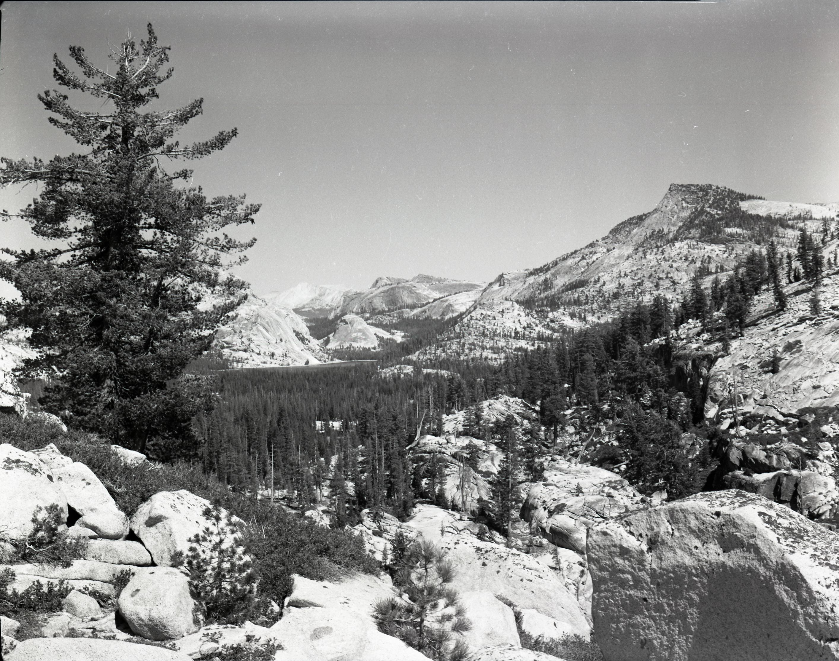 Tenaya Lake and Pywiack Dome from Olmstead Pt. area