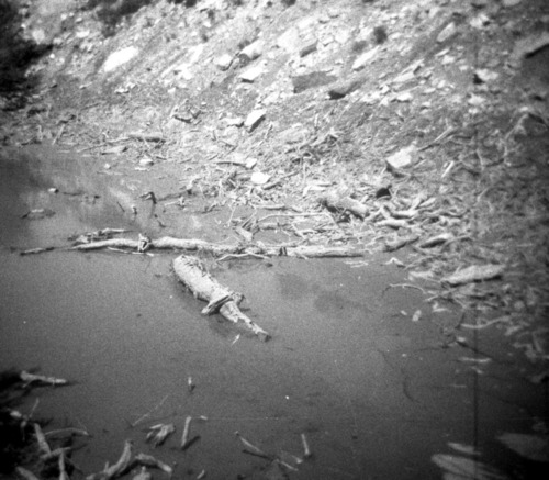 BW photos of rock slides in Kolob Canyons - 110mm.