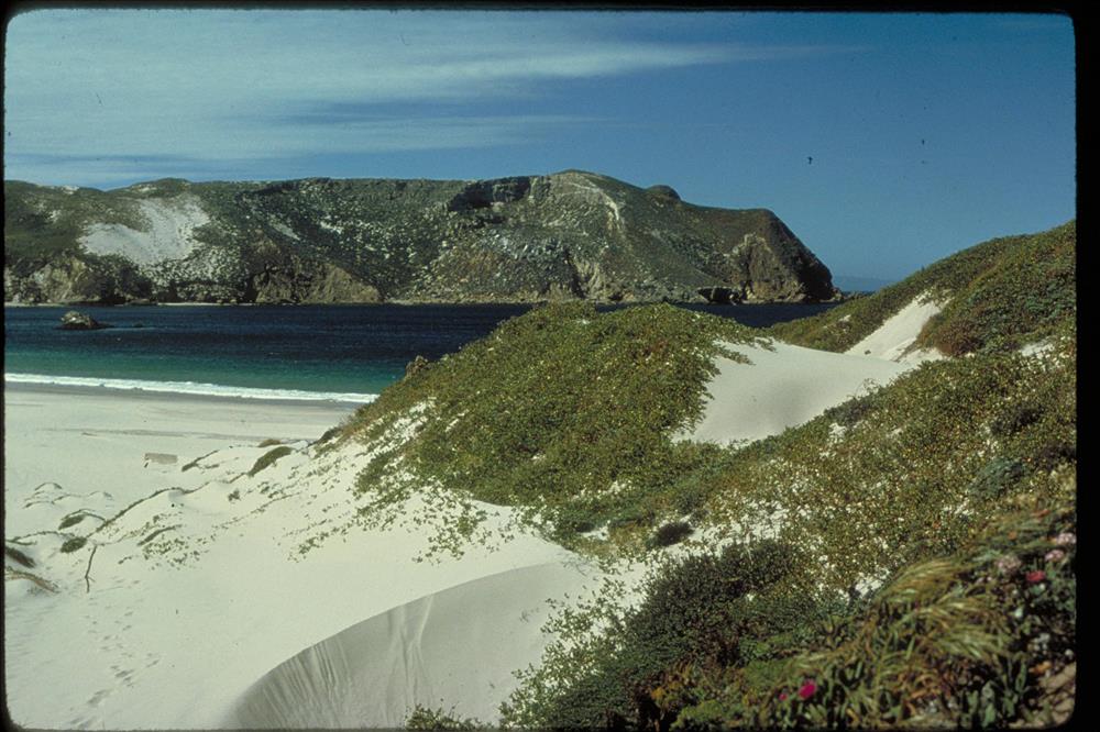 Cuyler Harbor and Harris Point at San Miguel Island with sand dunes in foreground