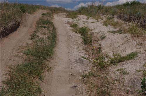 BADL_Sheep_Mountain_Road-South_Unit_02