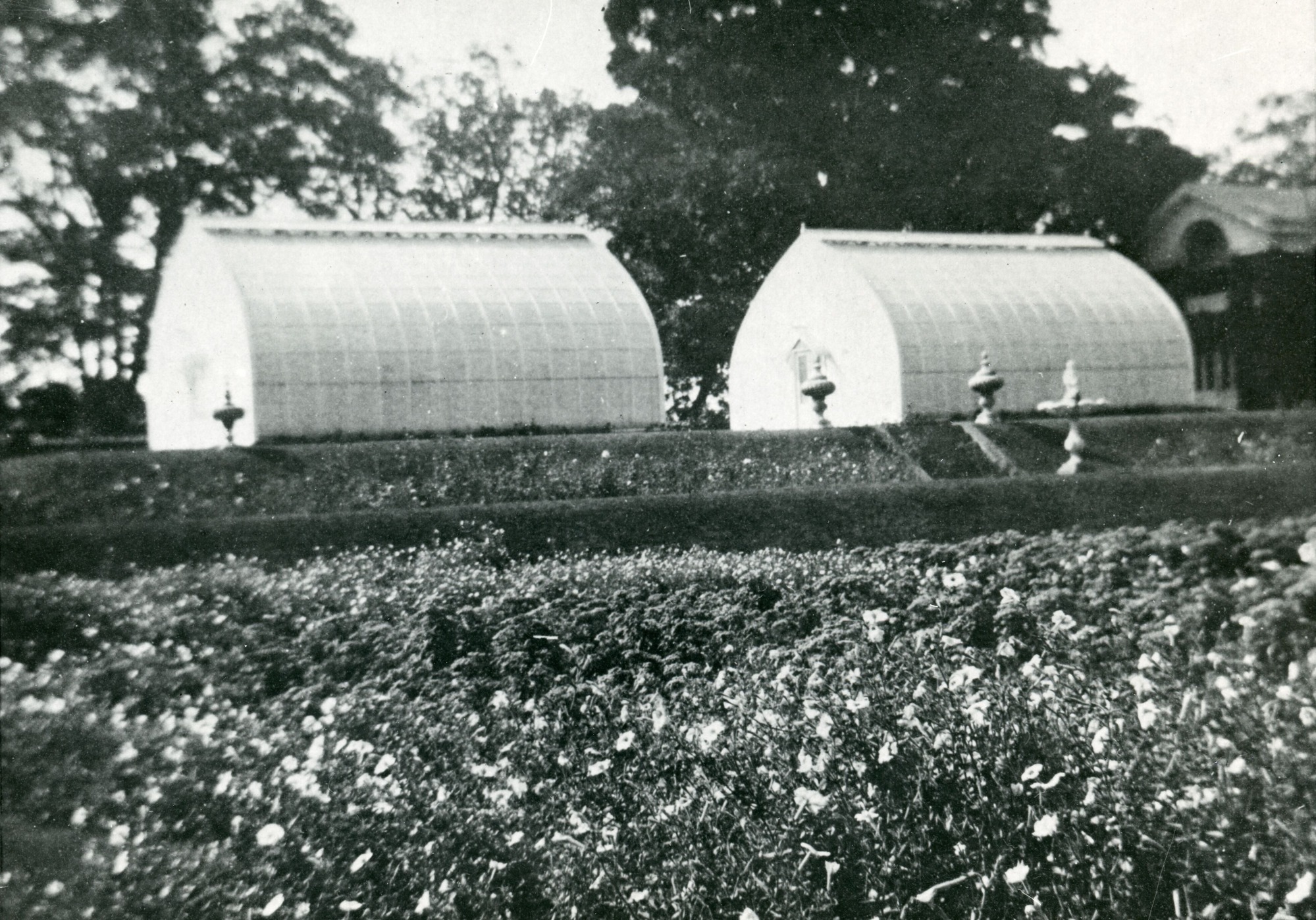 Two glass greenhouses for palms.
