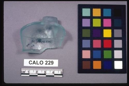 CALO     229 -- Bottle