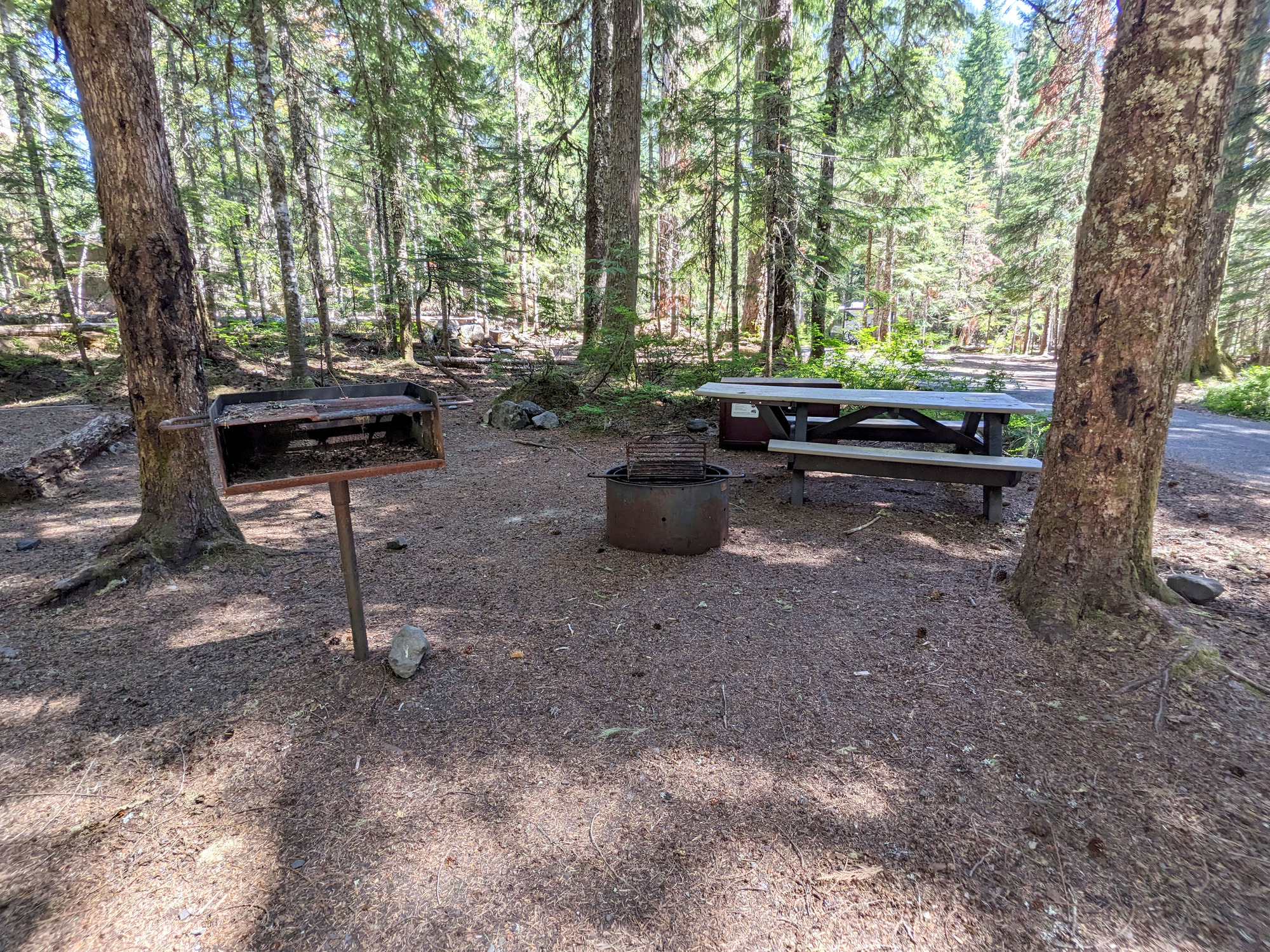 A small grill, fire ring, and picnic table amongst several evergreen trees.