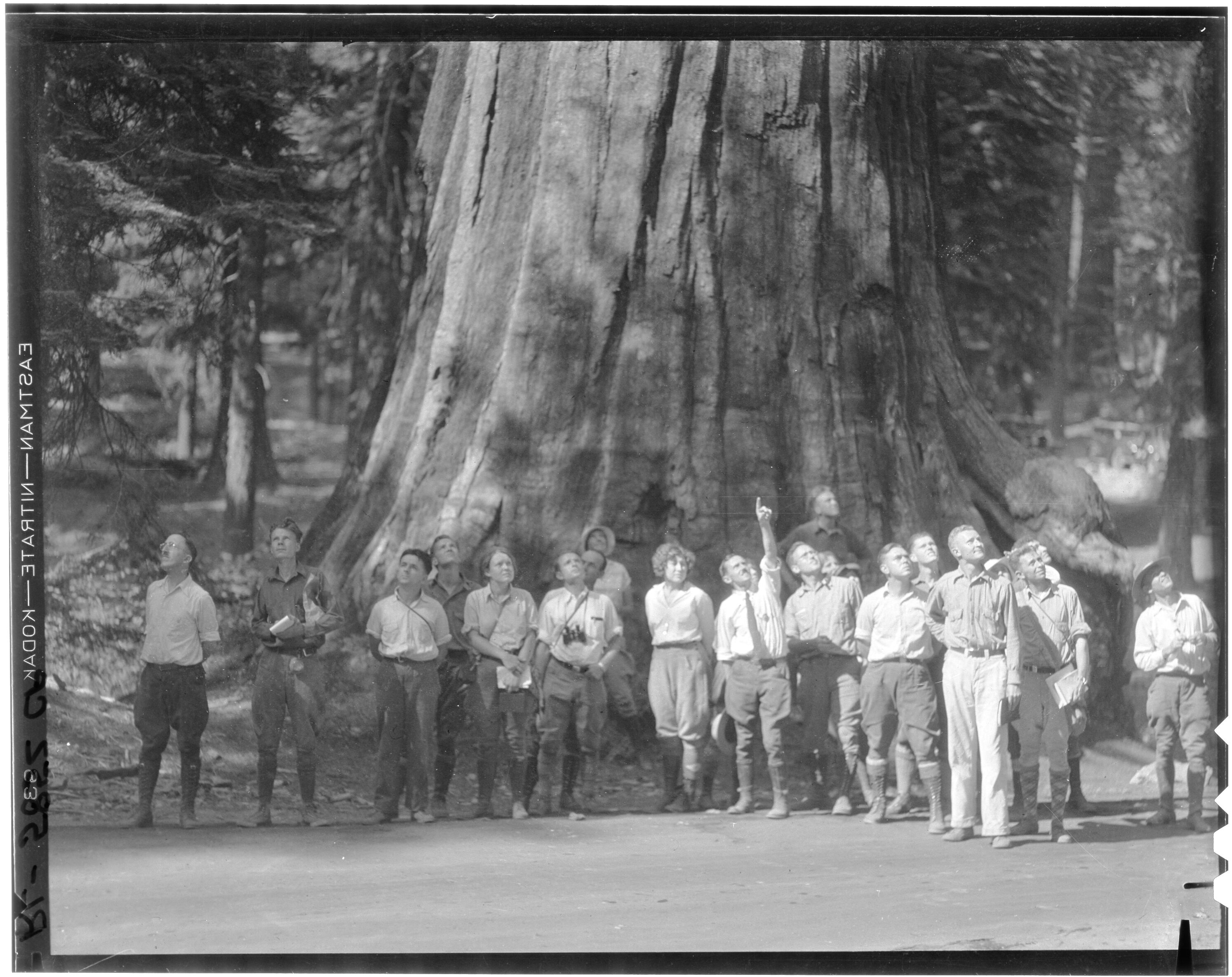 Class of 1931 with Joseph E. Burgess, Ranger Naturalist at the Mariposa Grove of Big Trees.